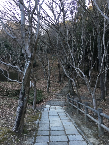 IShimizu_Funakoshi_Tsutsumi_Park_path